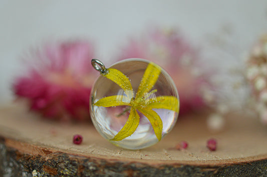 Yellow star-of-Bethlehem necklace 2.4 cm.