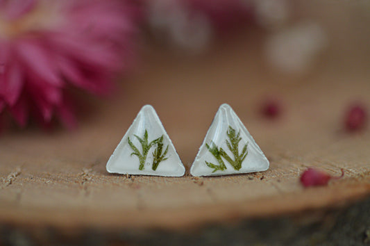 Triangle fern studs