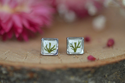 Square fern studs