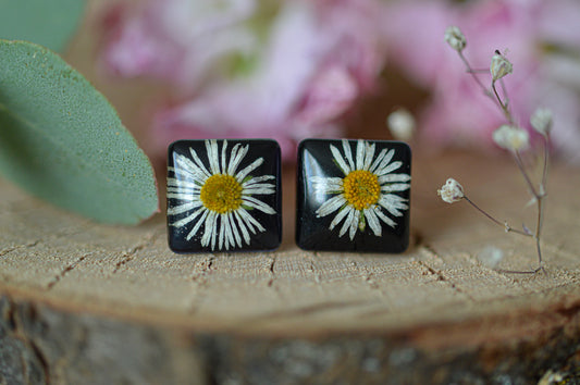 Daisy square stud earrings