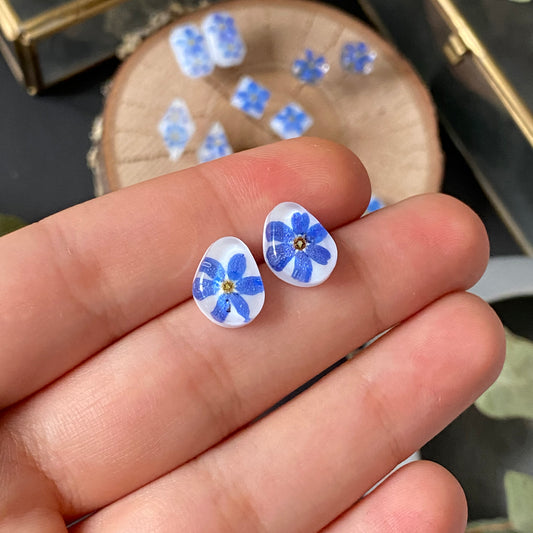 Earrings with forget-me-nots