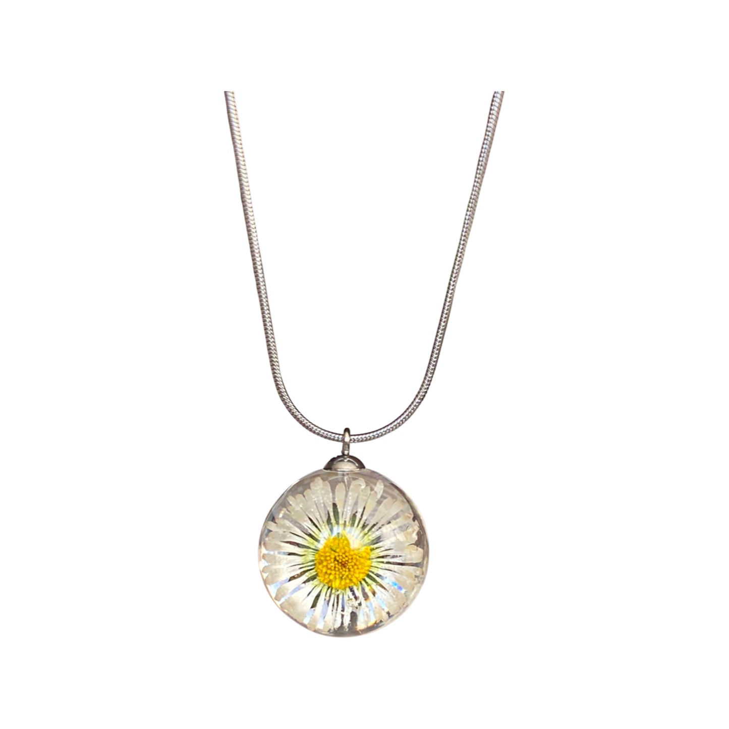 Real daisy necklace