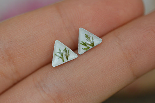 Triangle fern studs