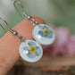 Beautiful veronica earrings