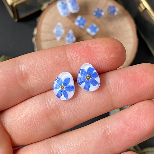 Earrings with forget-me-nots