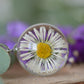 Necklace with a real daisy