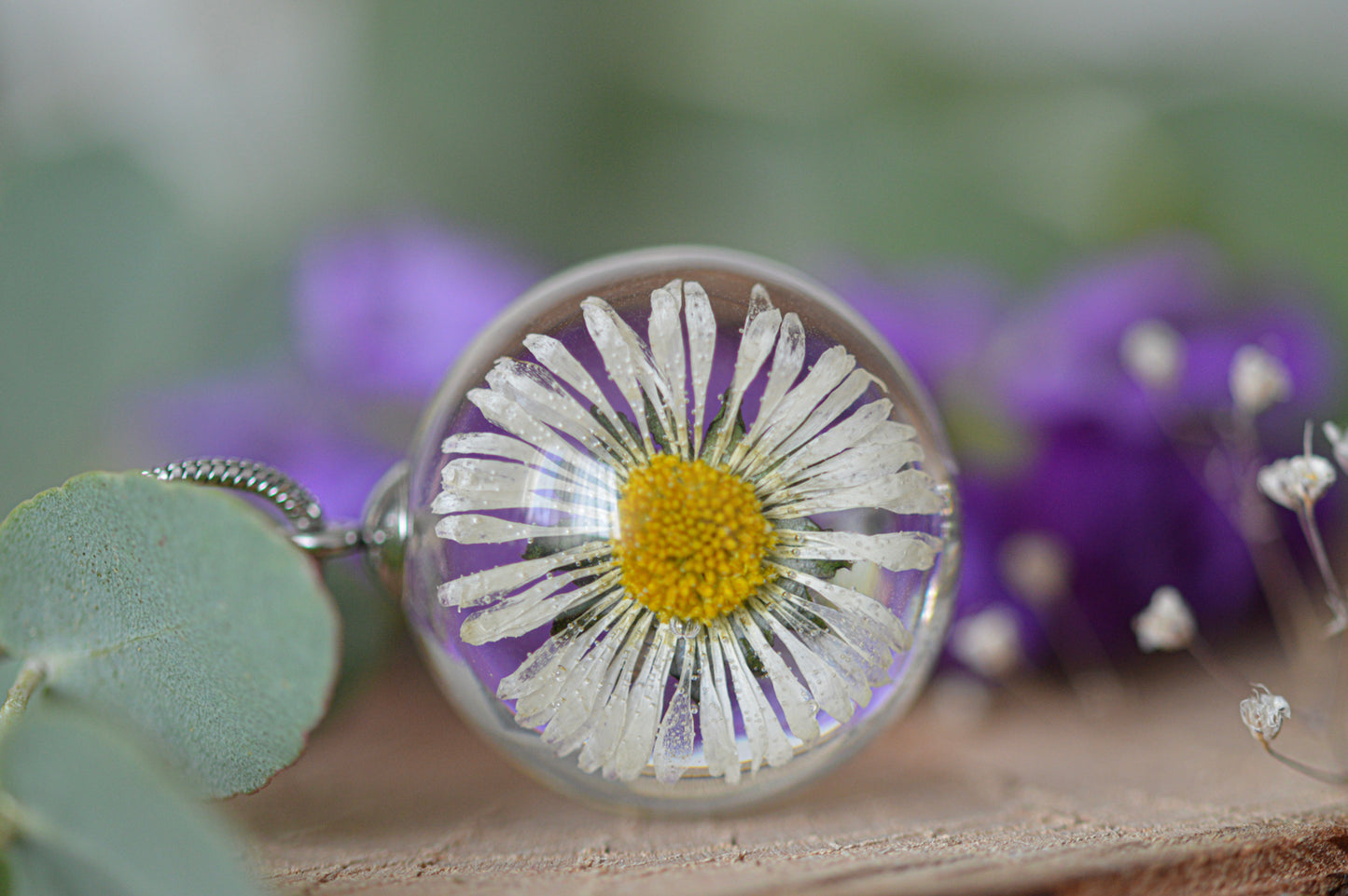 Necklace with a real daisy