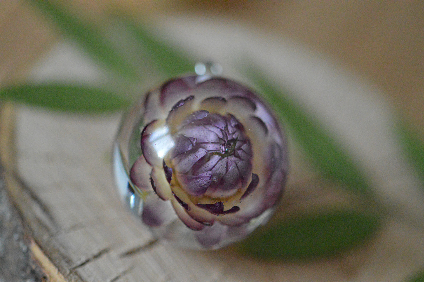 Strawflower spring necklace