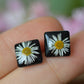 Daisy square stud earrings