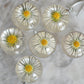 Real daisy necklace