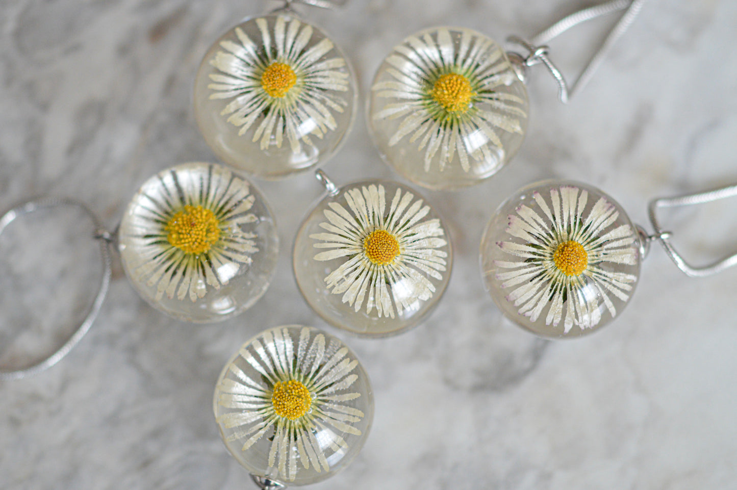 Real daisy necklace