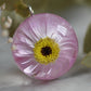 Paper daisy necklace