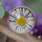 Necklace with a real daisy