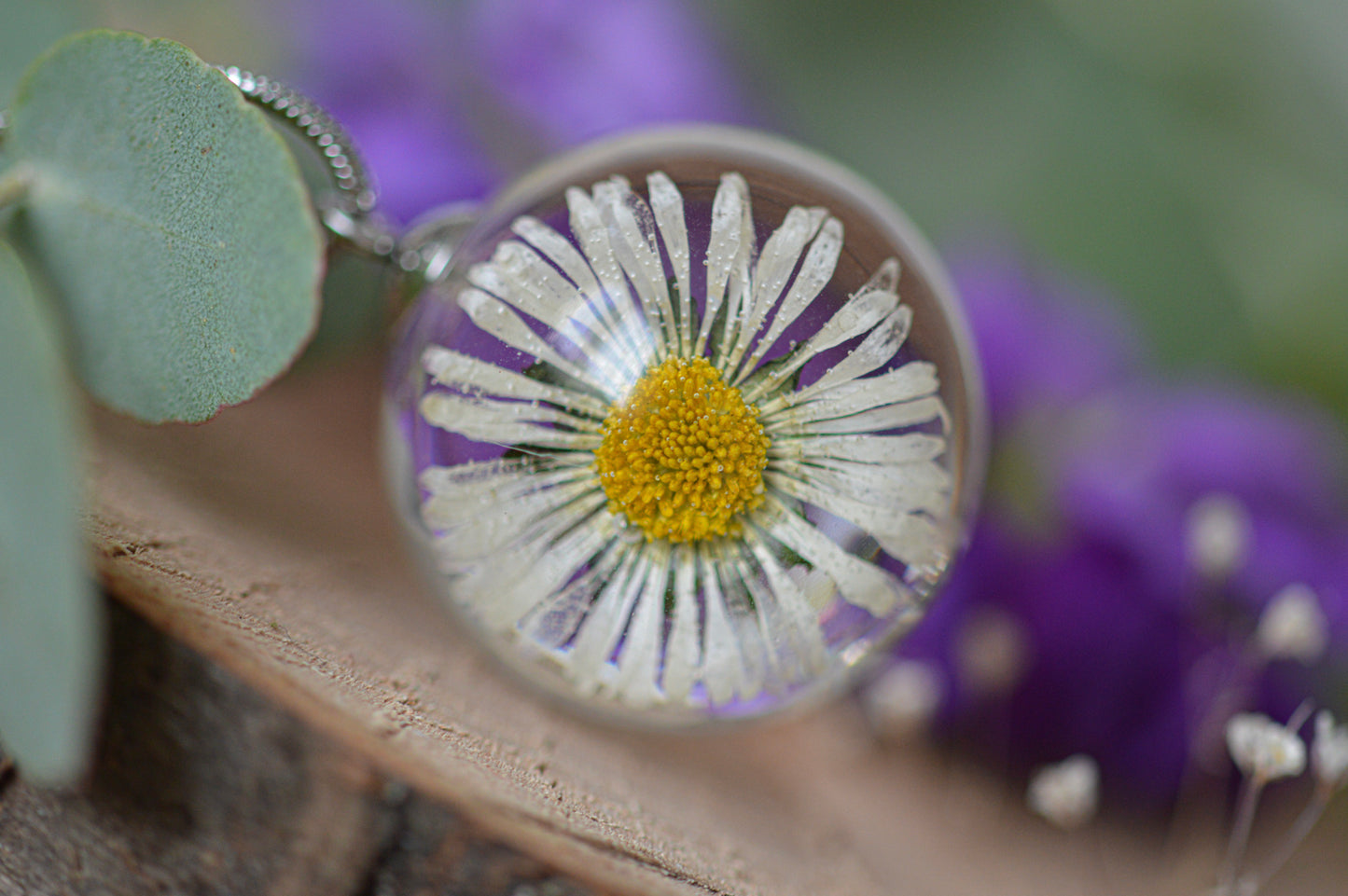 Necklace with a real daisy