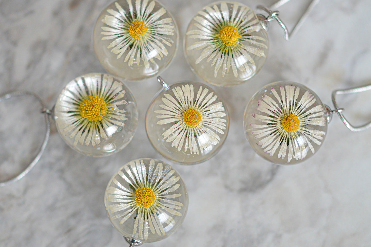 Real daisy necklace