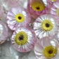 Paper daisy necklace